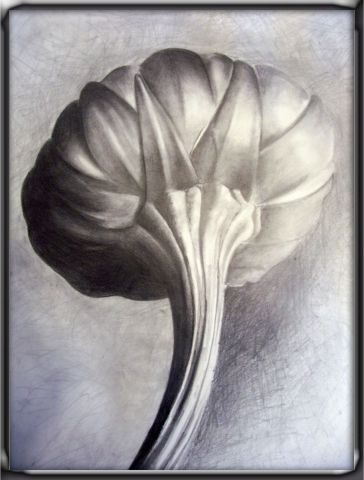 Fleur ou artichaut